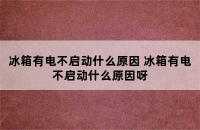 冰箱有电不启动什么原因 冰箱有电不启动什么原因呀